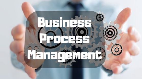 What is Business Process Management Life Cycle