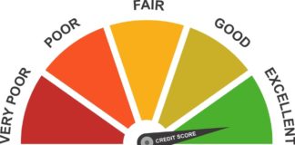 Reasons to Choose Professional Credit Repair Over Free Services Credit score