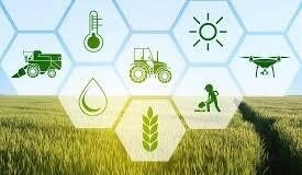 Contribution of Agricultural Sector in the Economic Growth of the Country Agricultural Sector