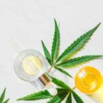 Cannabis