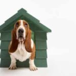 Dog Kennel