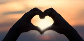 Why Is the Heart Important? A Basic Guide Why Is the Heart Important