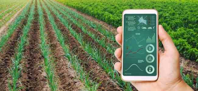 Agribusiness That You Should Know