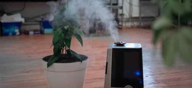 Humidifier