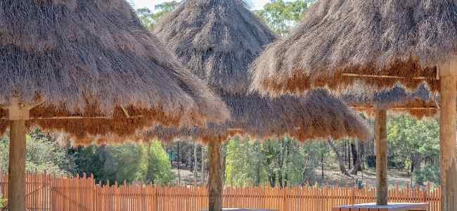 Eight Synthetic Baja Thatch Umbrellas