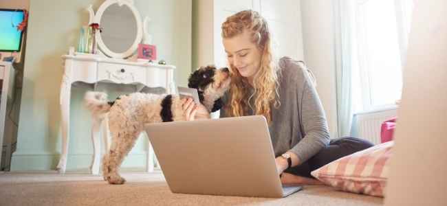 10 Reasons You Should Be Looking Into Pet Insurance