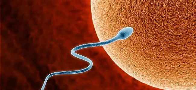 Fully Personalized Birth Control in Georgia