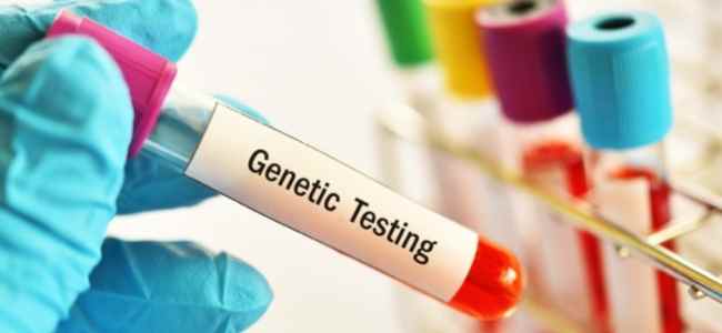 How Genetic Testing Works and Reasons to Go for the Procedure