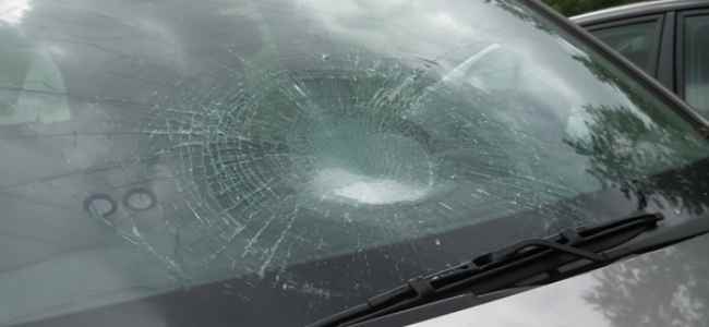 What Are the Different Types of Windshield Damage That Occur Today