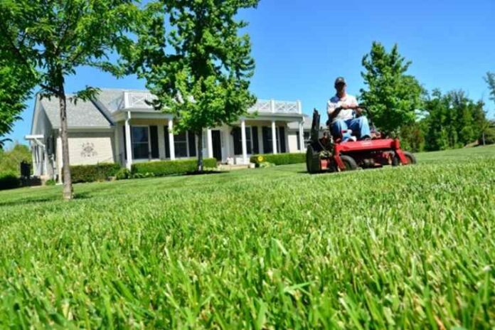 5 Questions to Ask Before Hiring a Lawn Care Company