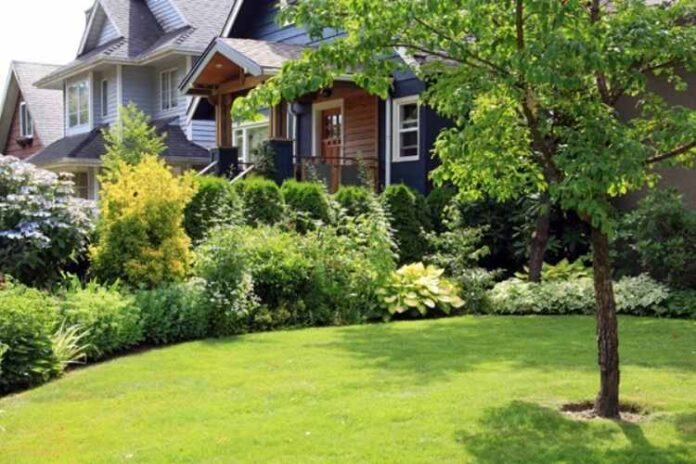 3 Major Benefits of Hiring a Lawn Care Company