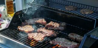 5 Decisions to Make Before Selecting a Premium Backyard Grill 5 Decisions to Make Before Selecting a Premium Backyard Grill