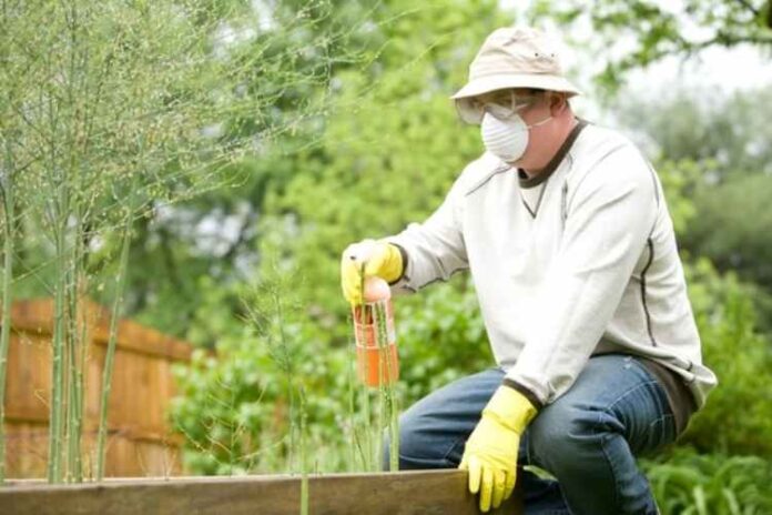 How To Protect Your Garden and Plants From Pests