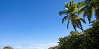 What Is Living on Vancouver Island, Canada Really Like? What Is Living on Vancouver Island, Canada Really Like