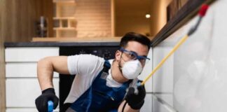 Pest Control in Seattle: 5 Warning Signs You Need to Make the Call Pest Control in Seattle