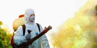 Does Detroit Have A Lot of Rats? Does Detroit Have A Lot of Rats?