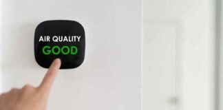 How to Improve Air Quality in Your Home: A Quick Guide How to Improve Air Quality in Your Home: A Quick Guide