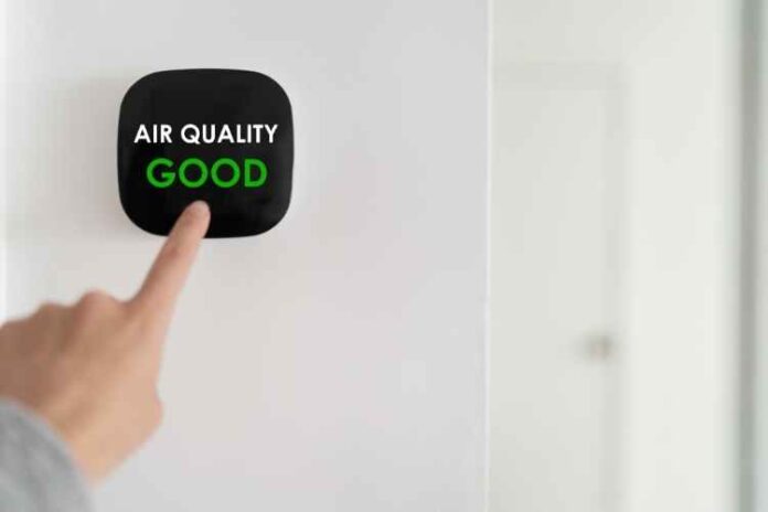 How to Improve Air Quality in Your Home: A Quick Guide