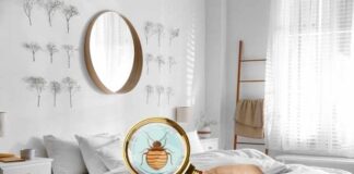 What to Do About Your Bug Problem What to Do About Your Bug Problem