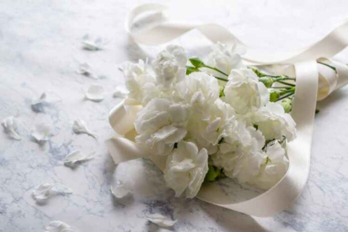 5 Interesting Facts About Carnations