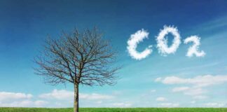 Carbon Dioxide vs Monoxide: What Are the Differences? Carbon Dioxide vs Monoxide What Are the Differences