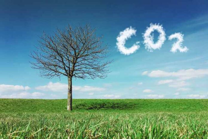 Carbon Dioxide vs Monoxide What Are the Differences
