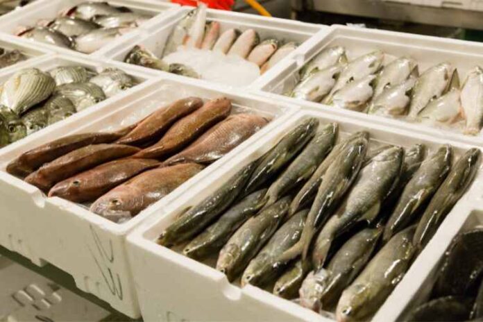 A Look Inside the Fish Market Industry