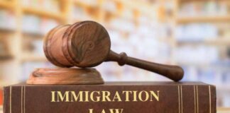 The Role of an Immigration Advisor in Today’s World The Role of an Immigration Advisor in Today's World