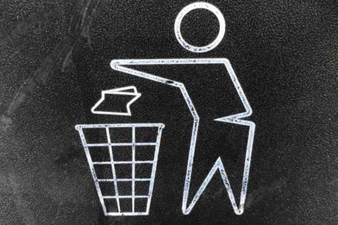 A Smart Business Owner's Guide to Choosing the Right Rubbish and Recycling Bin