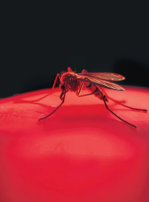 Global map highlighting spread of viral disease with emergency alert theme