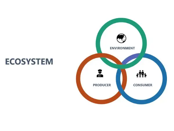 The Digital Layer of Modern Ecosystems: Unifying System Architecture and Data Efficiency