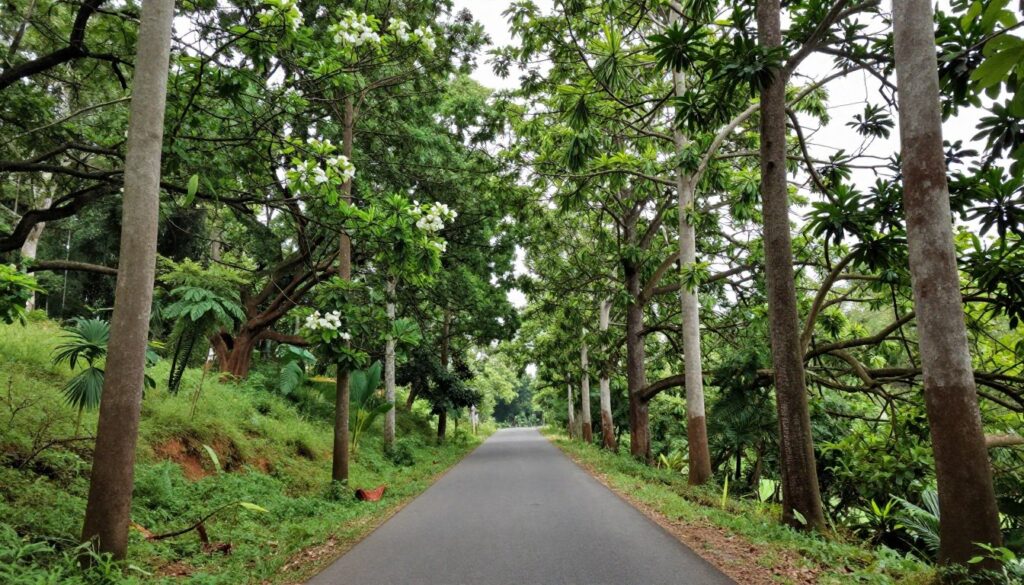 Jhilimili forest road near Mukutmanipur